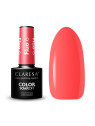 CLARESA FLUO 6