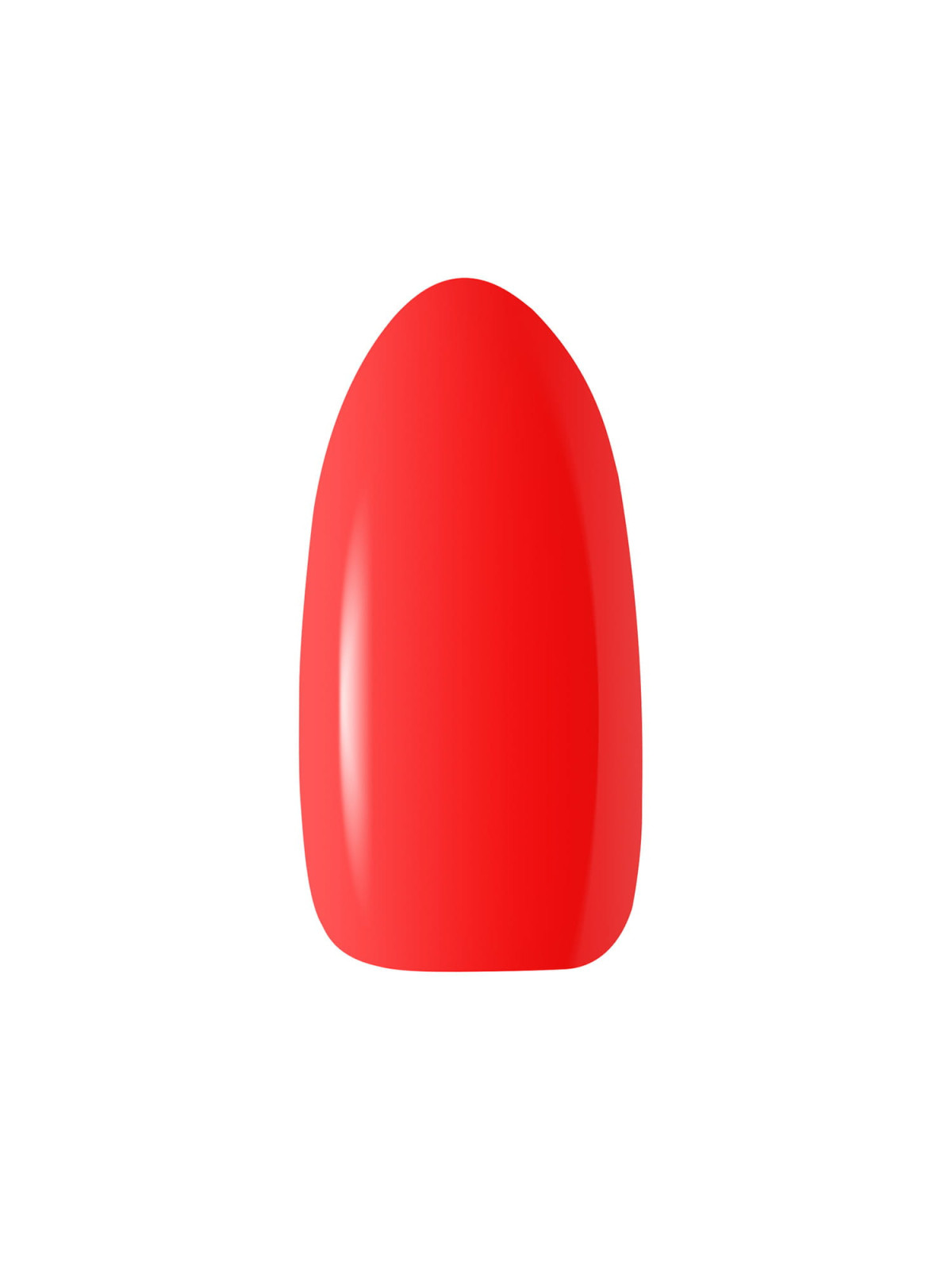 CLARESA FLUO 4