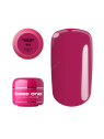 Silcare Color 5g base one 1/4