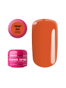 Silcare Color 5g base one 2/4