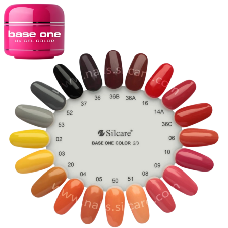 Silcare Color 5g base one 2/4