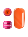 Silcare Color 5g base one 4/4