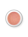 PALU PRO LIGHT BUILDER GEL 45 g